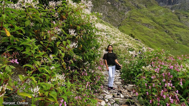 Trail Route with Flowers