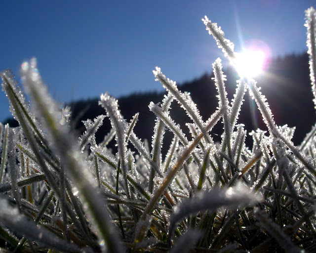 Hermoso Invierno - Beautifull Winter