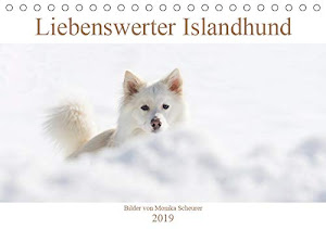 Liebenswerter Islandhund (Tischkalender 2019 DIN A5 quer): Mein Islandhund Djarfur ist ein liebenswerter Clown mit einem unwiderstehlichen Charme und ... (Monatskalender, 14 Seiten ) (CALVENDO Tiere)