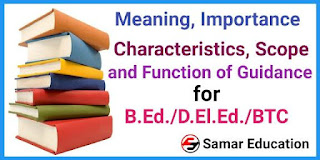 Meaning, Importance, Characteristics, Scope and Functions of Guidance in hindi