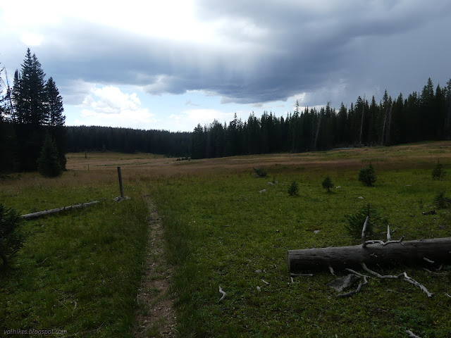 150: grass surrounding a trail under thinening clouds