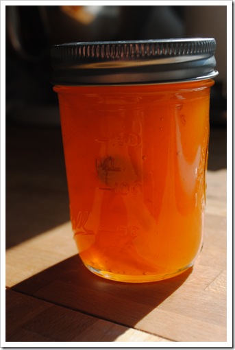 apricot jam 2011-07-17 030