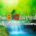 Todo lo que dejó ColomBIOdiversidad 2017