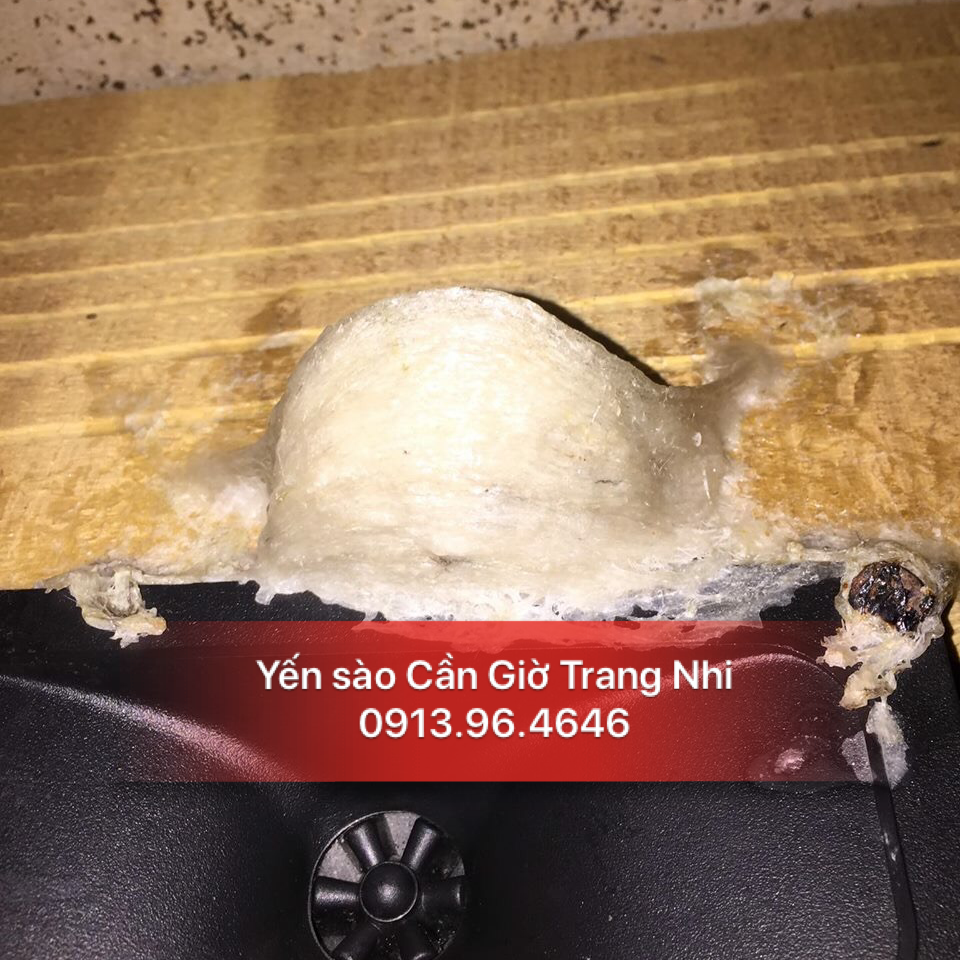 Yến Thô Tai Lớn