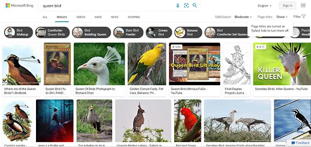 Bing Image Search: Most Popular Images Search Engines: eAskme