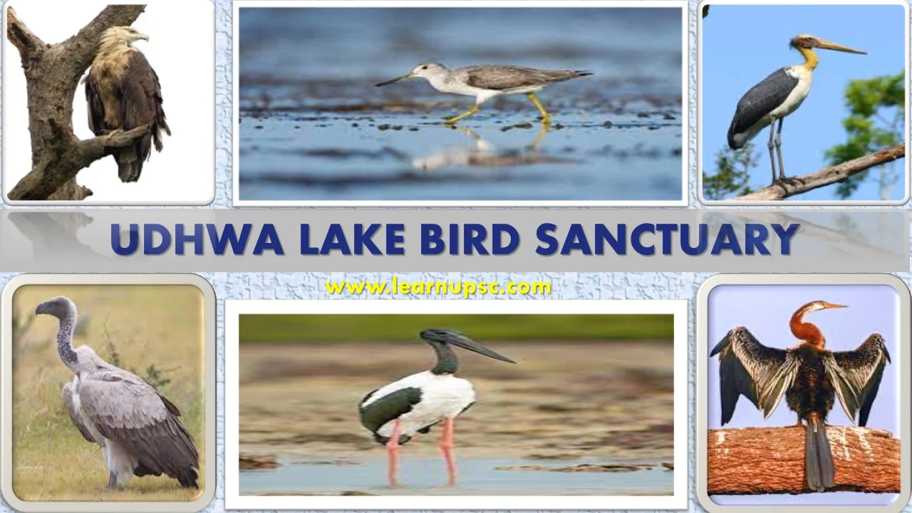 Udhwa Lake Bird Sanctuary