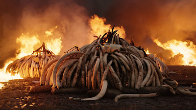 Anthropocene The Human Epoch Documentary Image 2
