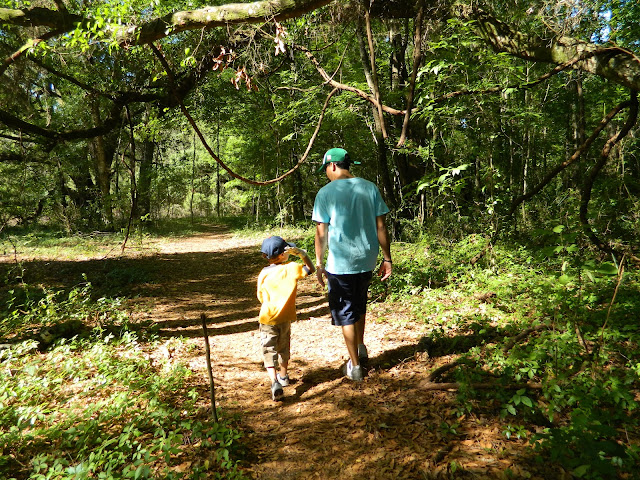 Santos trail Ocala, FL