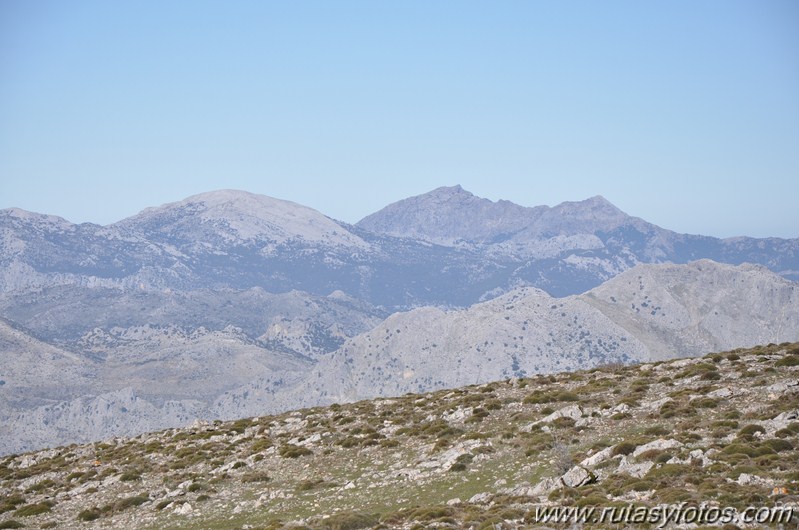 Jarastepar - Cancho de Almola