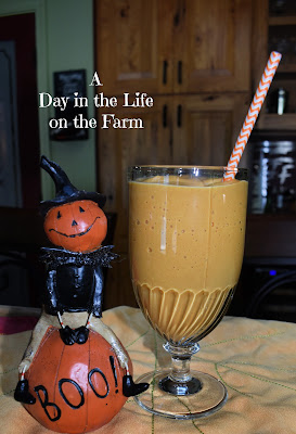 Banana Pumpkin Smoothie