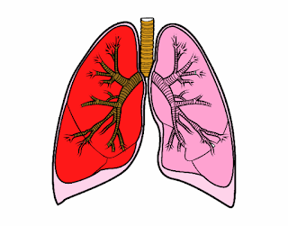 Mengobati paru paru basah secara alami
