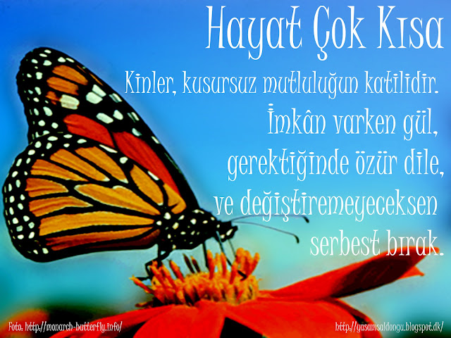 Kinler kusursuz mutluluğun katilidir. İmkân varken gül, gerektiğinde özür dile, ve değiştiremeyeceksen serbest bırak. Fotoğraf: monarch-butterfly.info Kelebek Etkisi Serbest Bırakmanın Mucizesi Zorluklara Karşı Kendini Ateşle Türkçe Çeviri Life is too short grudges are a waste of perfect happiness. Laugh when you can, apologize when you should and let go of what you can't change. mediawebapps.com