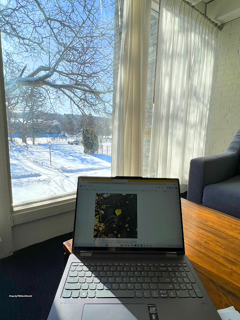 Computer with snow view outside window at The Abbey Resort.
