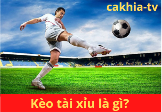 Kèo tài xỉu là gì? Hướng dẫn đọc hiểu kèo Over / Under