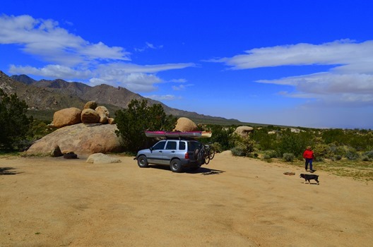 The Mojave_139