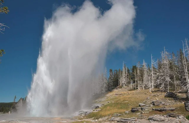 Yellowstone’s Steamboat Geyser Breaks Yearly Eruption Record