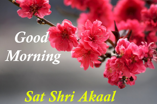  Good Morning Sat Shri Akaal 