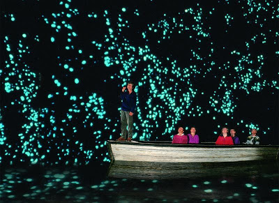 Waitomo Glowworm : Gua Ajaib Yang Dipenuhi Kilauan Bintang di New Zealand