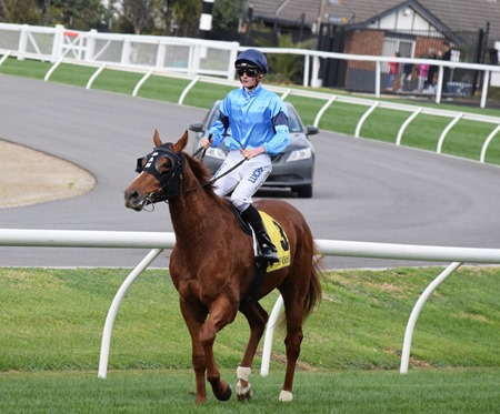 race5_foundation 1 race5_foundation 1