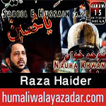 http://www.humaliwalayazadar.com/2016/06/raza-haider-nohay-2014-to-2017.html