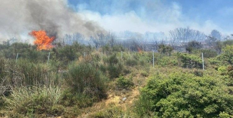 Tekirdağ Şarköy'de çıkan orman yangını kontrol altına alındı