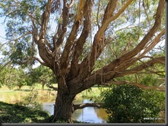 180319 085 Boorowa