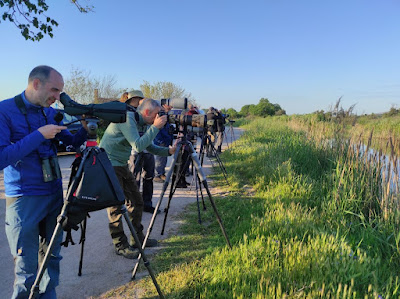 Birdwatching at Lake Metochi, Lesvos