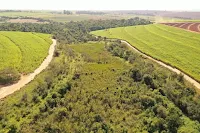 Imagem mostra fotografia aérea de verde verde nas proximidades da Usina Lins - Crédito: Divulgação/Programa Semear