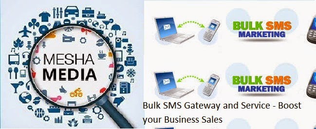 Bulk SMS Provider Company