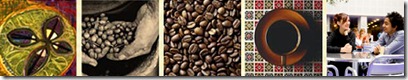 coffee tree