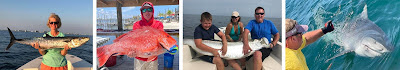 series of photos of fishermen holding large gulf of mexico fish | Gulf Shores AL