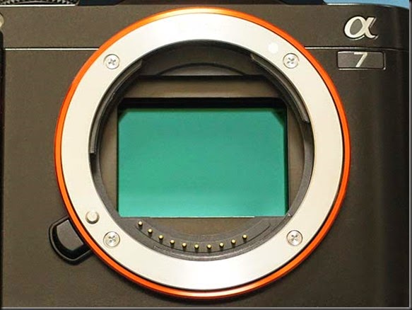 SONY DSC