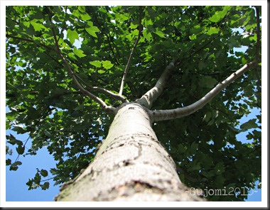 2010 08 31 IMG_9612w