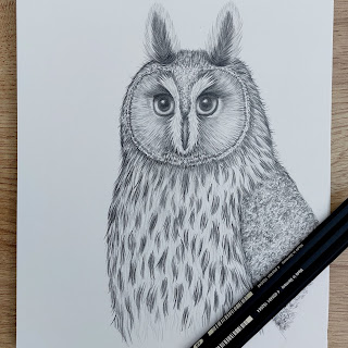 long eared owl drawn in an illustrative style in Faber Castell Pitt matt graphite pencils