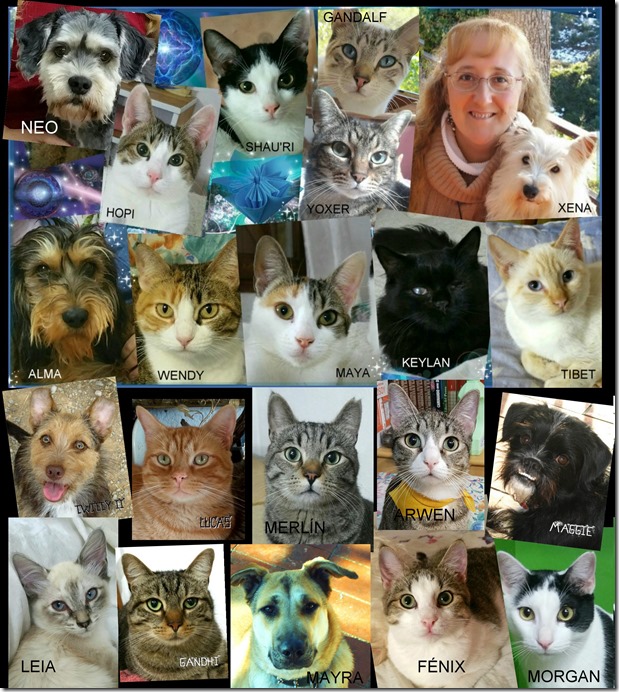 FAMILIANIMAL