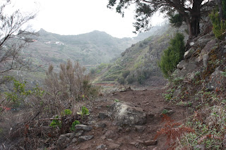 PR-TF-11 LA PUNTA DEL HIDALGO A LA CRUZ DEL CARMEN, sendero