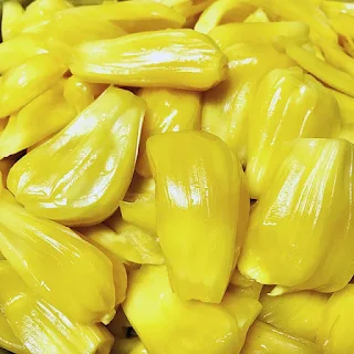 what-are-the-nutrients-and-benefits-of-jackfruit