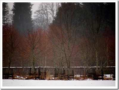 28th Dec 12