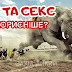 Біг та секс. Що корисніше?