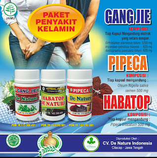 PENGOBATAN UNTUK INFEKSI SALURAN REPRODUKSI 