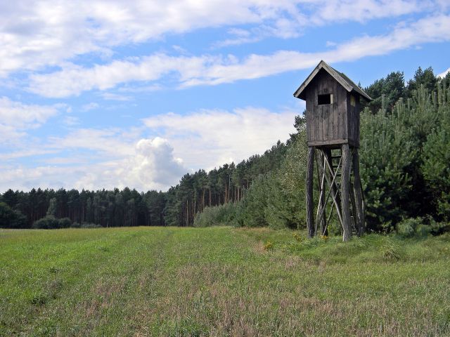 myśliwi, polowanie, pola i las