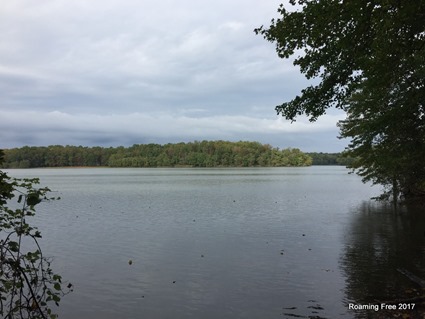 Another view of the pond