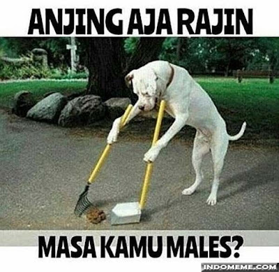 20 Meme Lucu 'Masa Kamu Kalah' Ini Bikin Ngakak, Kesindir Nggak?