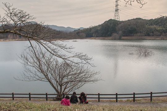 20150125-IMG_7928