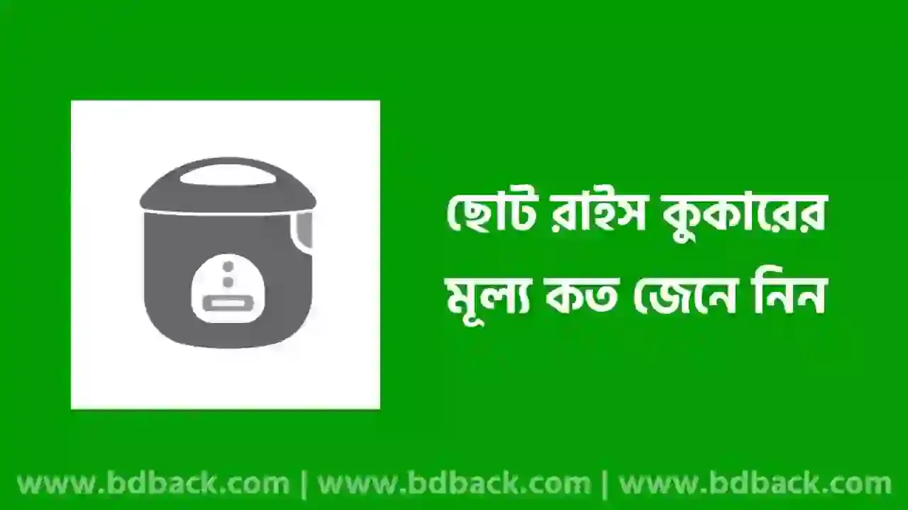 ছোট রাইস কুকারের দাম কত ২০২৪ | মিনি রাইস কুকারের দাম কত