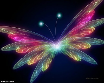 cool butterfly wallpaper