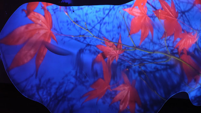 a close-up of a plastic panel with video projection of maple tree branch