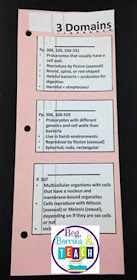 3 scientific domains and 6 kingdoms interactive notebook foldable.  Differentiated fill-in-the-blank.