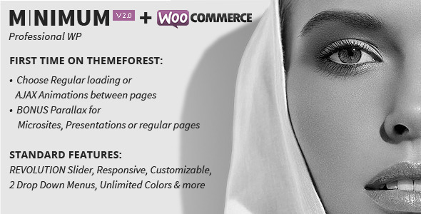 MINIMUM - Professional WordPress Theme - ThemeForest Item for Sale