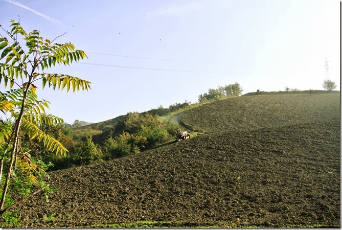 pic201013 021